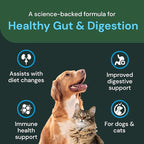 VetriScience Veterinary Strength Healthy Gut & Digestion - Pet Digestive Health Supplement for Cats & Dogs - Gut Health & Immune Support - Features Probiotics, Prebiotics & Postbiotics - 60 Count