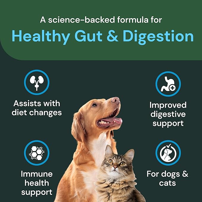 VetriScience Veterinary Strength Healthy Gut & Digestion - Pet Digestive Health Supplement for Cats & Dogs - Gut Health & Immune Support - Features Probiotics, Prebiotics & Postbiotics - 60 Count