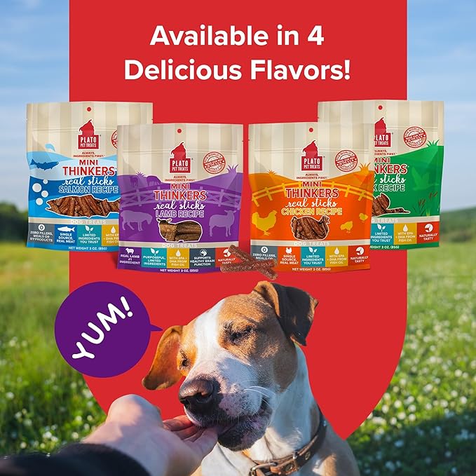 Plato Pet Treats Thinkers - Meat Stick Treats for Dogs - Limited Ingredient Dog Treats with EPA and DHA to Support Skin, Coat, and Brain - Air-Dried Dog Treats - Mini Thinkers Lamb 3oz
