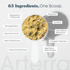 Senior Dog Powder Supplement & Food Topper – 63 Ingredients for Joint, Gut, Immune & Brain Health – Daily Longevity Multivitamin with Glucosamine, Probiotics, and Fish Oil | 60 Scoops