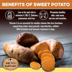 USA Sweet Potato Dog Treats - Grain Free, Peanut Butter Crunchy Sticks are Great Tasting, Promote Positive Dog Gut Health with Natural Anti-Diarrhea Properties, no Preservatives Added