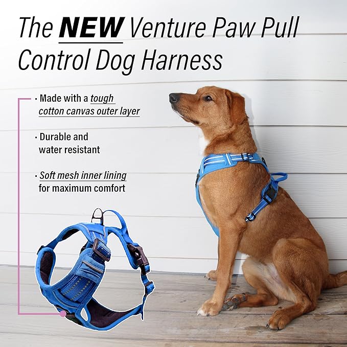 Doggie Design Venture Paw No Pull Dog Harness - Simple Adjustable Puppy Harness - Anti Pull Dog Collar for Walks and Outdoor Adventures - Mountain Lake, L