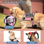Service Dog Vest Harness+ID Tag+10 Patches,Metal Serivce Dog Tag&Reflective Emotional Support Dog Vest with Handle for Medium Dogs,Easy Put On/Off for Training/Walking/Everyday Pink M