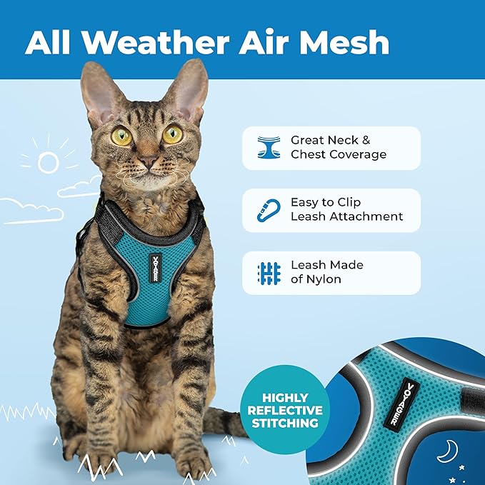 Voyager Escape-Proof Step-in Lock Cat Harness & 5ft Neoprene-Handle Leash Set All-Weather Mesh with Reflective Stitching for Small to Large Cats by Best Pet Supplies, Black Trim-Turquoise (327), S