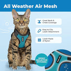 Voyager Escape-Proof Step-in Lock Cat Harness & 5ft Neoprene-Handle Leash Set All-Weather Mesh with Reflective Stitching for Small to Large Cats by Best Pet Supplies, Black Trim-Turquoise (327), XXXS