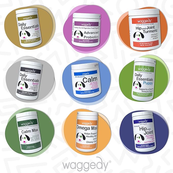 waggedy Daily Essentials Puppy — Full-Spectrum Functional Treats, Small or Large Breed Puppy Supplements — Dog Supplements & Vitamins — Puppy Essentials (60 Chews)