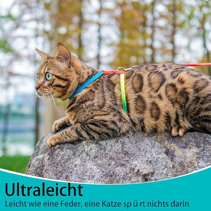 PUPTECK Adjustable Cat Harness and Leash Set Escape Proof Kitten Strap Collar for Walking Travel, Multicolor