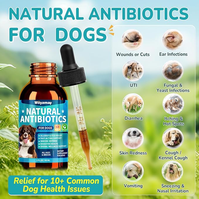 Antibiotics for Dogs | Natural Dog Antibiotics for Allergy Relief, Itch Relief, Coughs, Skin Health, Breath Treatment, Digestion | Herbal Supplement to Care for Ears, Eyes & Coat, 4 Fl Oz