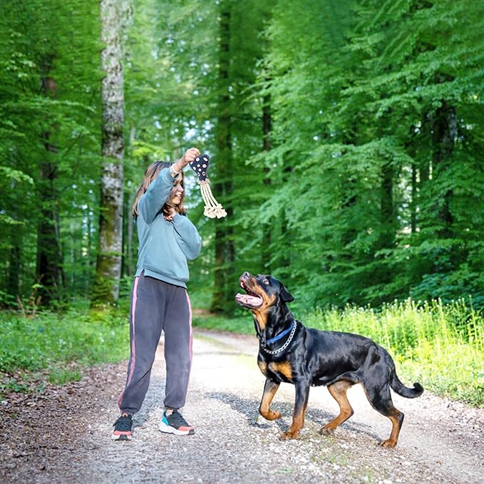 Eco Leather Otto Octopus Natural and Tough Dog Toys - Long Lasting Chew Toys for Aggressive Chewers - Strong Dog Toy for Dogs and Puppy