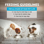 Northwest Naturals Raw Rewards Freeze-Dried Minnow Treats for Dogs and Cats - Bite-Sized Pieces - Healthy, 1 Ingredient, Human Grade Pet Food, All Natural, Proudly Made in USA, 1 Oz (Pack of 3)