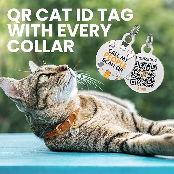 BRONZEDOG Leather Cat Collar with Removable Bells Non Breakaway Kitten QR Tag for Girl Boy (9" - 12" Cats/Mini Dogs, Orange & Silver)