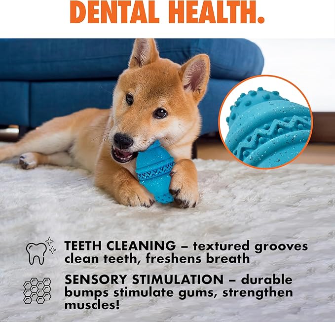 Max Fusion Made with Nike Grind, Arlee Cannon Treat Dispensing Dog Toy for All Dogs, Treat Dispenser, Durable Treat Toys, Natural Rubber Chew Toy, Large, Blue, 1 Count