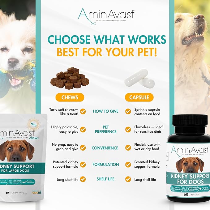 AminAvast Dog Kidney Supplement - Supports Natural Kidney Function - Promotes Health & Vitality of Aging Kidneys - Pet-Friendly, 1000mg (60 Chews)