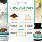 AminAvast Dog Kidney Supplement - Supports Natural Kidney Function - Promotes Health & Vitality of Aging Kidneys - Pet-Friendly, 1000mg (60 Chews)