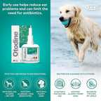 Otodine Dog Ear Cleaner Solution - Veterinary Formula for Itchy Ears, Head Shaking & Scratching - Tris-EDTA Flush for Wax, Debris & Odor - Gentle & Safe for Cats & Puppies - 100ml