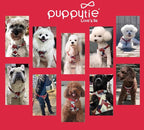 Puppytie No Pull Small Dog Harness with Multifunction Dog Leash,Lightweight Soft Adjustable No Choke Escape Proof Pet Harness Vest Pet Harness Vest,Suede Bow red,S