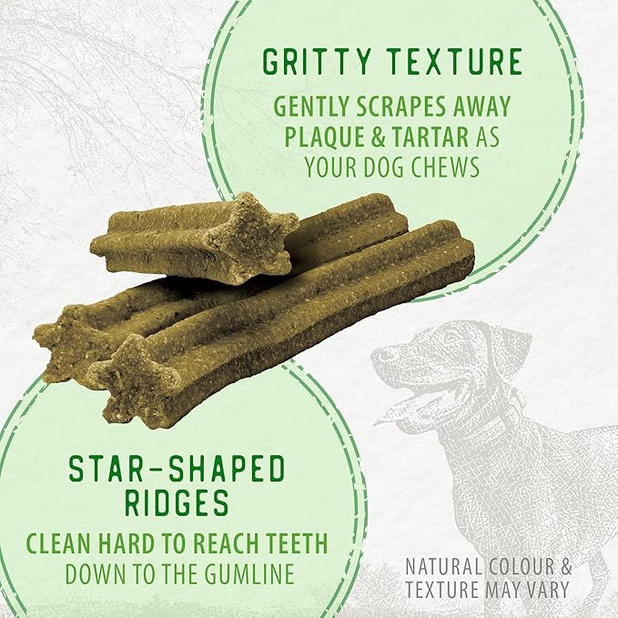 Caledon Farms Value Pack Plaque Busters Fresh 24.5oz/696g/ (4/cs)- 30ct