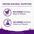 Wellness Complete Health Sensitive Skin & Stomach Dry Dog Food, Wholesome Grains, Natural, Salmon & Rice Recipe, (24-Pound Bag)