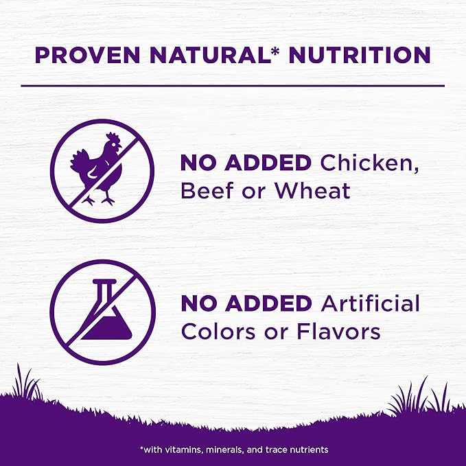 Wellness Complete Health Sensitive Skin & Stomach Dry Dog Food, Wholesome Grains, Natural, Salmon & Rice Recipe, (24-Pound Bag)