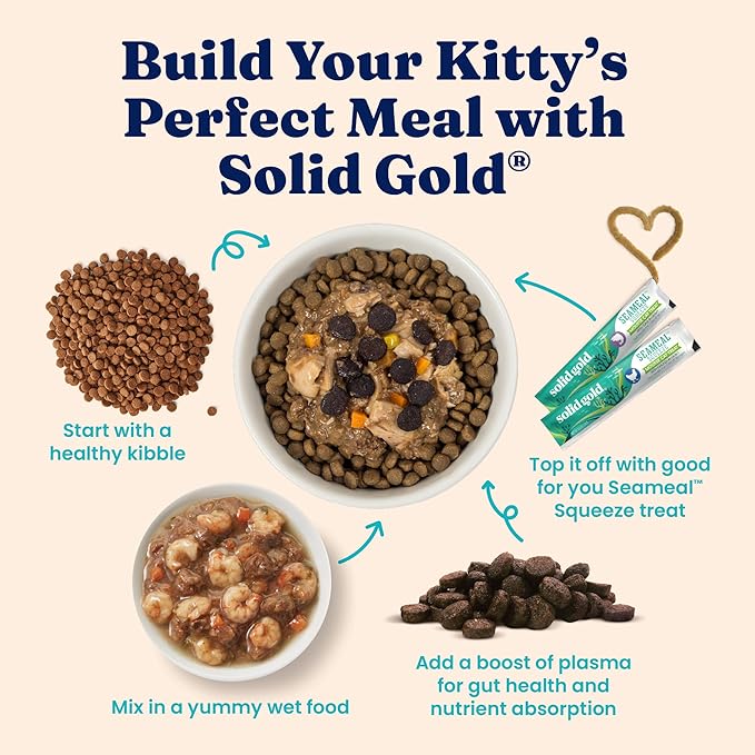 Solid Gold Sensitive Stomach Dry Cat Food - Grain Free & Gluten Free Sensitive Stomach Cat Food for Indoor Adult & Senior Cats - Dry Kibble for Cats w/Quail, Pumpkin & Probiotics for Gut Health - 6lb