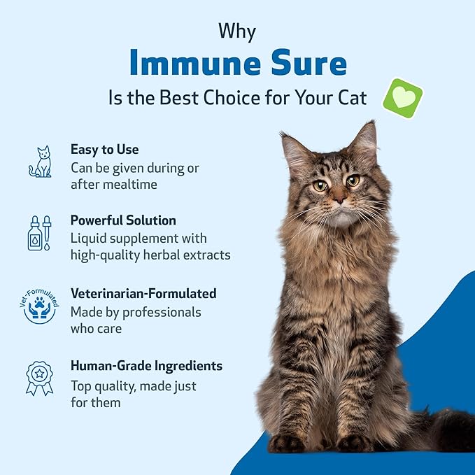 Pet Wellbeing Immune Sure for Cats - Supports Normal Immune Defenses, Gut Flora Balance, Andrographis, Echinacea, Vitamin C, Zinc - Veterinarian-Formulated Herbal Supplement 2 fl oz (59 ml)