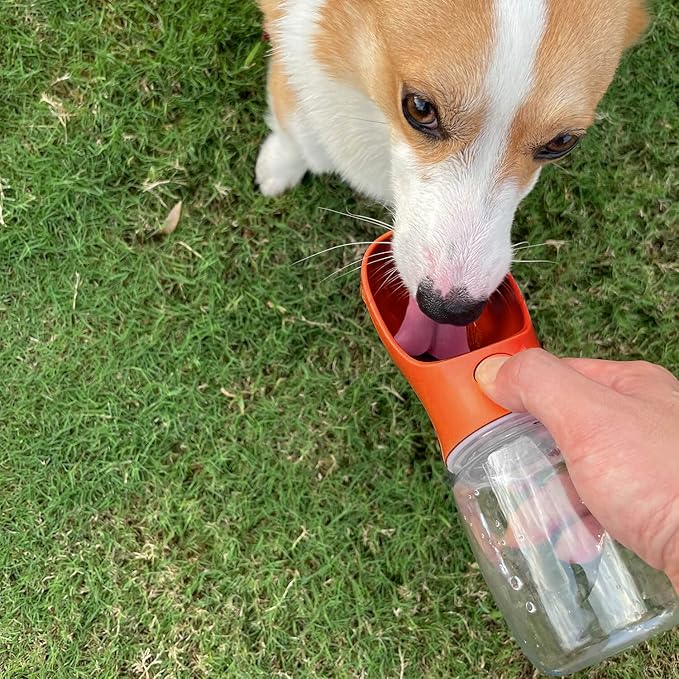 WePet Portable Dog Water Bottle, 12 OZ, Leak Proof Puppy Water Dispenser with Drinking Feeder for Pets Outdoor Walking, Hiking, Travel, Food Grade Plastic