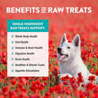Northwest Naturals Raw Rewards Freeze-Dried Chicken Breast Treats for Dogs and Cats - Bite-Sized Pieces - Healthy, 1 Ingredient, Human Grade Pet Food, All Natural, Proudly Made in USA, 10 Oz