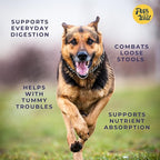 Pets Gone Wild Goat Milk Powder, Non-GMO, Picky Eater Friendly, Liquid Gold High Protein Supplement for Gut Health, Immunity & Hydration Ideal as Milk or Food Topper, Made in Canada