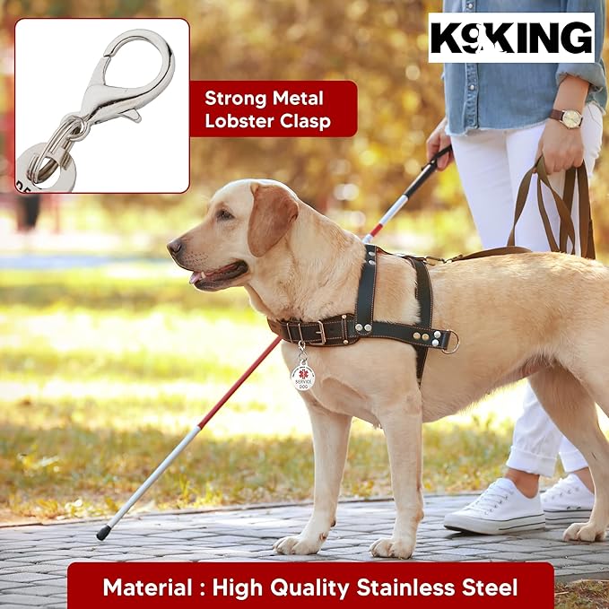 Service Dog TAG Small Breed Premium Double Sided Identification .999 Inch Engraved - Bold Protected Under Federal Law With Medical Alert Symbol - Easily Attach to Collar, Harness and Service Vest