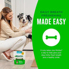 Minties Dental Chews for Dogs, 40 Count, Vet-Recommended Mint-Flavored Treats for Tiny/Small Dogs 5-24 lbs, Dental Bones Clean Teeth, Fight Bad Breath, and Removes Plaque and Tartar