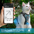 Cat Harness and Leash for Walking Escape Proof Soft Adjustable Cat Leash Breathable Honeycomb Structure Comfortable Vest Easy to Wear Kitten Harness for Outdoor Travel, Honeycomb Blue, XXS