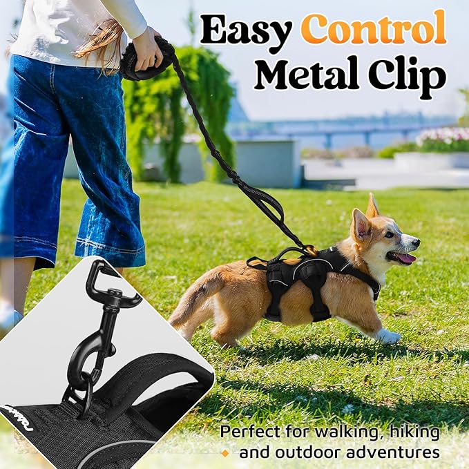rabbitgoo Escape Proof Dog Harness, Soft Padded Full Body Pet Harness, Reflective Adjustable No Pull Vest with Lift Handle and Leash Clip for Large Dogs Walking Hiking Training, S, Black