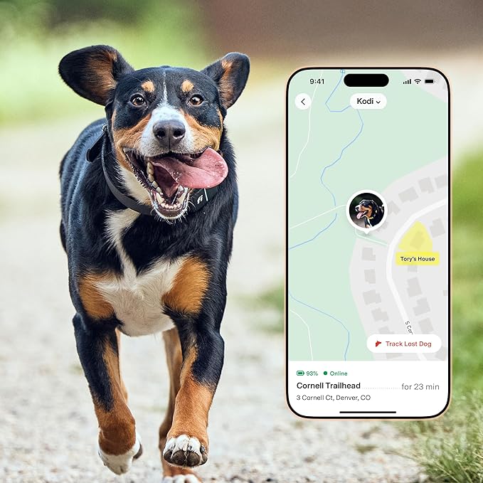 Fi Series 3+ Smart Dog Collar - GPS Dog Tracker and Activity & Fitness Monitor, Waterproof, LED Light, Escape Alerts, Nationwide Coverage [Free 6 Month Membership] (Gray, Small)