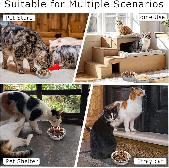 Disposable Cat Food Bowl Set (600 Pcs Small Paper Bowls + 4 Pcs Stainless Steel Pet Bowls) Dog Disposable Bowls Disposable Cat Plates for Wet Food Pet Food Bowl for Pet Feeding Station(White)