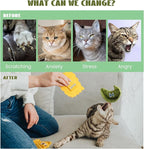 3 Pack Ravioli Catnip Toys for Indoor Cats, Interactive Cat Toys Filled with 100% Organic Catnip, Plush Chew Toys for Kittens, Teething Soft Catnip Toys for Cats