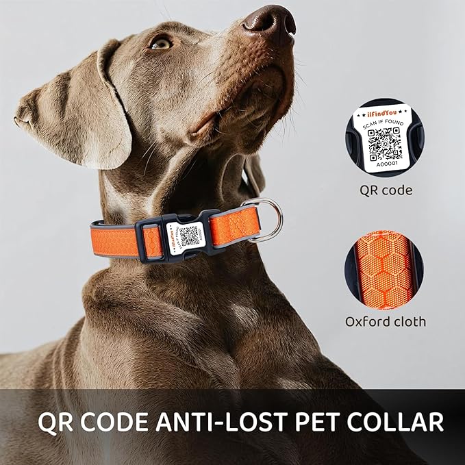 Personalized Dog Collar with QR Code tag for pet ID, Reflective Safety Collar, Suitable for Small, Medium, and Large Dogs (Orange, Medium)