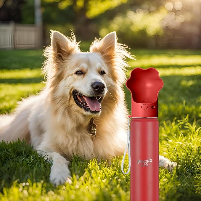 Stainless Steel Dog Travel Water Bottle, Vacuum Insulated Portable Dog Water Dispenser, Drink Cup and Snack Container On The Go, Outdoor Walking, Hiking, Travel (Red, 22oz)