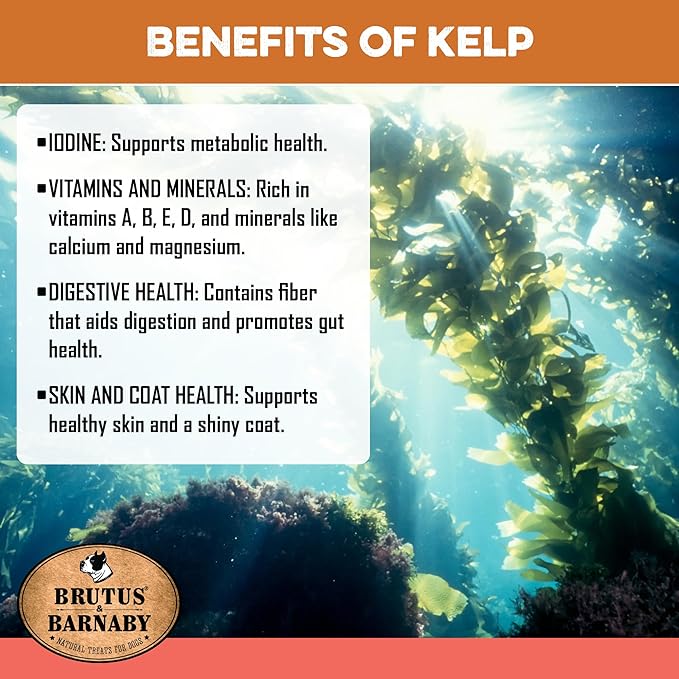 Sweet Potato Dog Treats - Grain Free, Salmon & Kelp Crunchy Sticks - Great Tasting, Promotes Positive Dog Gut Health with Natural Anti-Diarrhea Properties, No Preservatives Added (14oz)