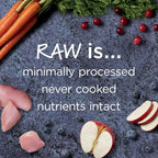 Instinct Raw Boost Indoor Health, Natural Dry Cat Food with Freeze Dried Pieces, Grain Free Recipe - Real Rabbit, 4.5 lb. Bag