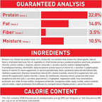 Royal Canin X-Small Aging 12+ Dry Dog Food, 2.5 lb bag