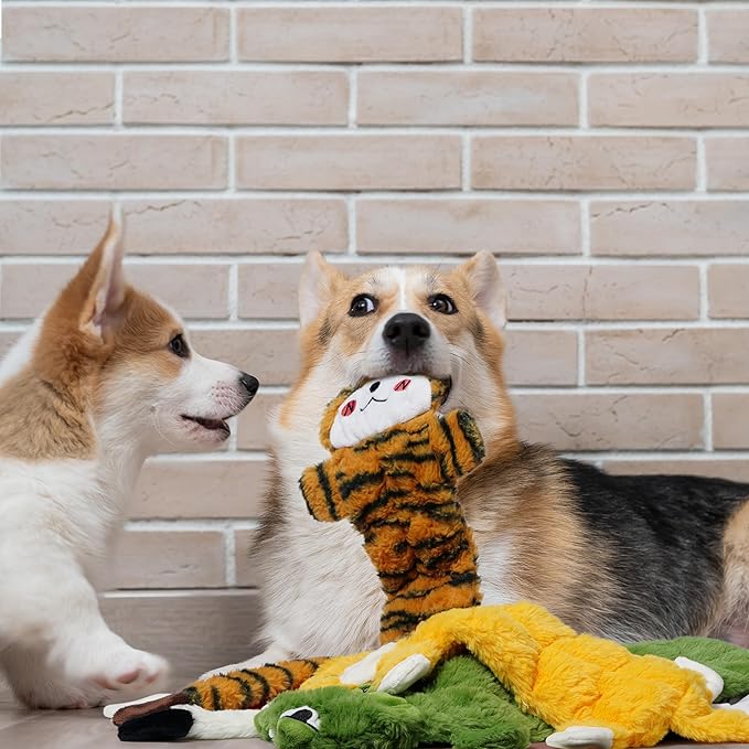 Nocciola Durable Dog Chew Toys for Aggressive Chewers, No Stuffing Squeaky Toys for Small to Large Dogs