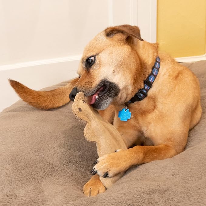 SPOT Dura-Fused Leather Squirrel Dog Toy – Real Leather & Jute Fabric, Double-Stitched & Durable, Soft Stuffed Squeaky Interactive Chew Toy for Moderate Chewers, Small & Medium Dogs, 8in