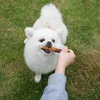 MON2SUN Dog Treats 5 Inch Double Flavor Chicken & Chicken Liver Wrapped Rawhide Sticks, Teeth Cleaning for Small Dogs, 10.6 oz (15 Count)