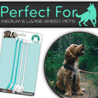 H&H Pets Dog Toothbrush Dual Headed Design Dental Toothbrushes for Small & Large Dogs, 4 or 8 Counts Pack