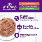 Wellness Complete Health Pate Adult Wet Cat Food, Natural, Protein-Rich, Grain Free, 3 Ounce, 12 Pack, (Chicken & Turkey Favorites Variety Pack)