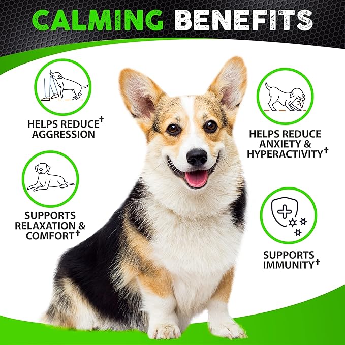 Hemp Calming Chews for Dogs - 170 Dog Calming Chews - Anxiety Relief Treats with Melatonin - Natural Aid for Stress, Separation, Fireworks, Thunder, Barking, Sleep – Pet Supplement - Made in USA