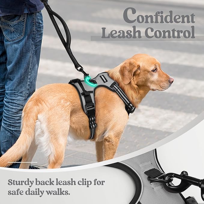 rabbitgoo Dog Harness No Pull with 2 Leash Clips, Adjustable Soft Padded, Reflective Oxford No Choke Pet Vest with Easy Control Handle for Large Dogs, Grey, XL