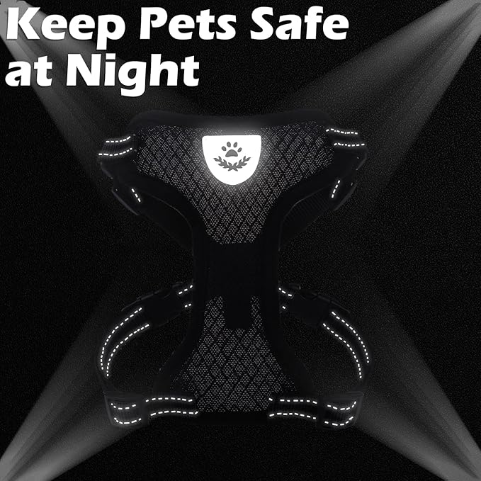 EXPAWLORER Cat Harness and Leash Set - Adjustable Escape Proof, Soft Reflective Vest Harness for Outdoor Walking, Breathable Lightweight Jacket for Small Medium Cats, Black M