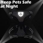 EXPAWLORER Cat Harness and Leash Set - Adjustable Escape Proof, Soft Reflective Vest Harness for Outdoor Walking, Breathable Lightweight Jacket for Small Medium Cats, Black M