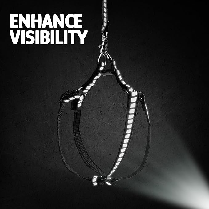 Filbert Cat Harness and Leash Set with Reflective Strip, Thin Cat Harness Escape Proof with Leash, Step-in, Adjustable, Indoor Outdoor, Easy-to-Put-On